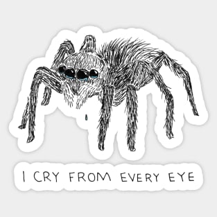 I Cry From Every Eye Sticker